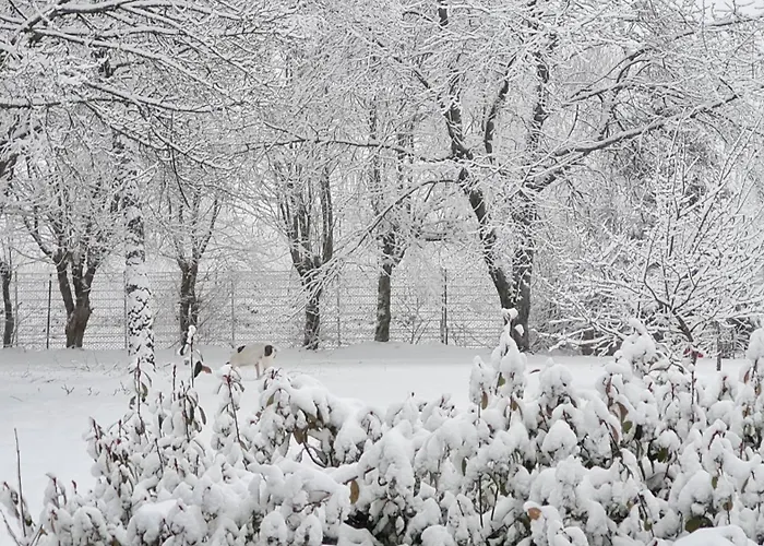 Ollywood Hill Lägenhet Halbs